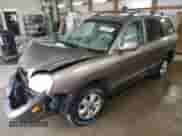 2005 Hyundai Santa Fe GLS z VIN KM8SC73D45U972784, wystawiony jako Copart lot #80883594 z przebiegiem Nie podano mil oraz Szkoda całkowita • Salvage title. Historia ofert i sprzedaży dostępna na DreamBid. Obrazek 1.