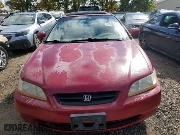 2000 Honda Accord EX with VIN 1HGCG2252YA037331, listed as a Copart auction lot 81846405 with 204,069 mi miles and Clean title. Bid and sale history available at DreamBid. Image 5.