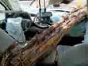 2013 GMC Sierra 1500 SLE with VIN 3GTP1VE02DG183212, listed as a Copart auction lot 80834285 with Not provided miles and Non repairable. Bid and sale history available at DreamBid. Image 8.