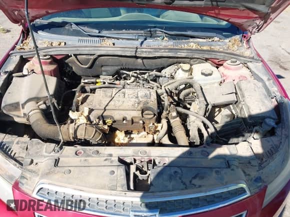 2013 Chevrolet Cruze ECO с VIN 1G1PJ5SB3D7169975, выставлен на аукционе IAAI как лот 43444617 с пробегом 230 464 миль миль и . История ставок и продаж доступна на DreamBid. Изображение 10.