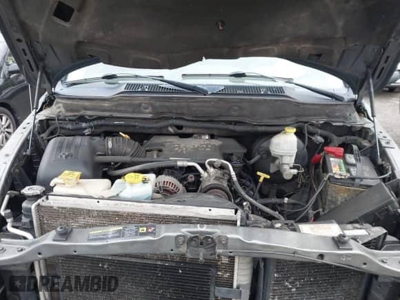 2006 Dodge 1500 SLT with VIN 1D7HU18246S625815, listed as a IAAI auction lot 43398997 with 219,975 mi miles and . Bid and sale history available at DreamBid. Image 10.