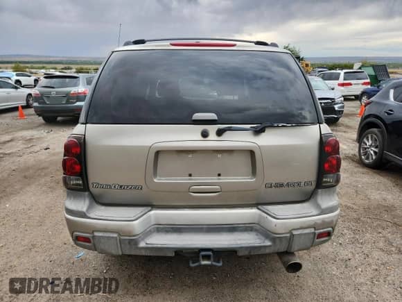 2002 Chevrolet TrailBlazer LS z VIN 1GNDS13S722179733, wystawiony jako Copart lot #71695415 z przebiegiem Nie podano mil oraz Czysty tytuł • Clean title. Historia ofert i sprzedaży dostępna na DreamBid. Obrazek 6.