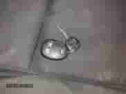 2013 Chevrolet Silverado 2500HD Work Truck with VIN 1GC1KVC8XDF150777, listed as a IAAI auction lot 41510170 with 188,703 mi miles and . Bid and sale history available at DreamBid. Image 11.