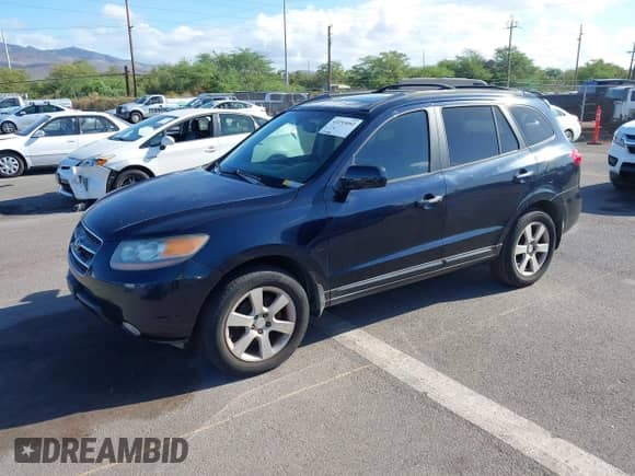 2007 Hyundai Santa Fe SE с VIN 5NMSH13E57H096846, выставлен на аукционе IAAI как лот 43253092 с пробегом 179 148 миль миль и . История ставок и продаж доступна на DreamBid. Изображение 2.