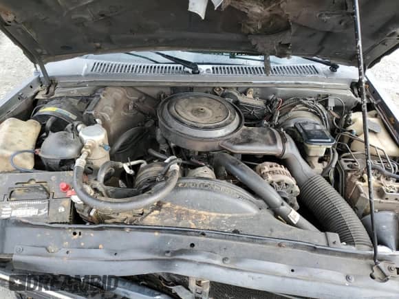 1992 Chevrolet Blazer с VIN 1GNDT13Z1N2170251, выставлен на аукционе Copart как лот 43741025 с пробегом 204 428 миль миль и Списание • Salvage title. История ставок и продаж доступна на DreamBid. Изображение 12.