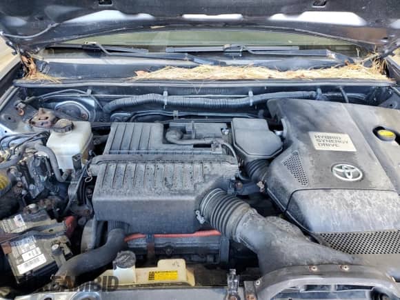 2006 Toyota Highlander Limited with VIN JTEEW21A160032421, listed as a Copart auction lot 82629355 with 199,284 mi miles and Clean title. Bid and sale history available at DreamBid. Image 12.