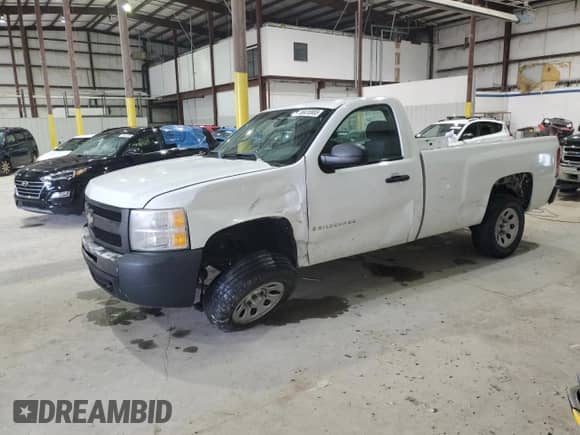 2009 Chevrolet Silverado 1500 Work Truck with VIN 1GCEC14X79Z208587, listed as a Copart auction lot 58415955 with 248,450 mi miles and Non repairable. Bid and sale history available at DreamBid. Image 1.