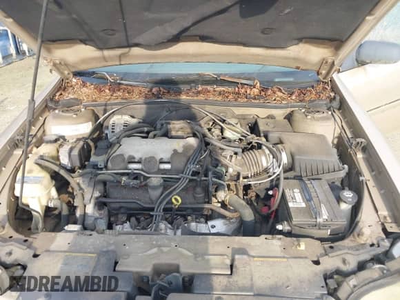 2002 Chevrolet Malibu с VIN 1G1ND52J62M684750, выставлен на аукционе IAAI как лот 42873029 с пробегом 129 744 миль миль и . История ставок и продаж доступна на DreamBid. Изображение 10.