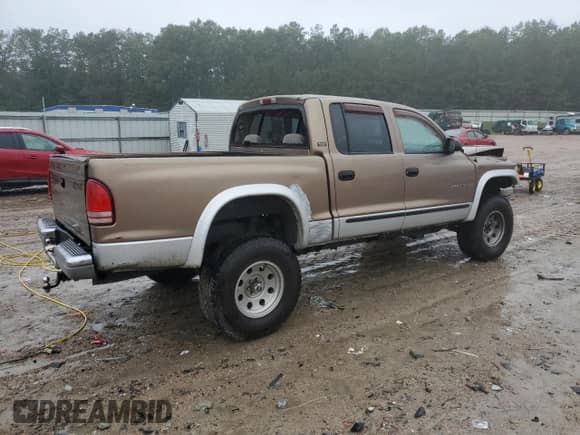 2001 Dodge Dakota Sport with VIN 1B7GG2AN71S188389, listed as a Copart auction lot 81003045 with 203,492 mi miles and Salvage title. Bid and sale history available at DreamBid. Image 3.