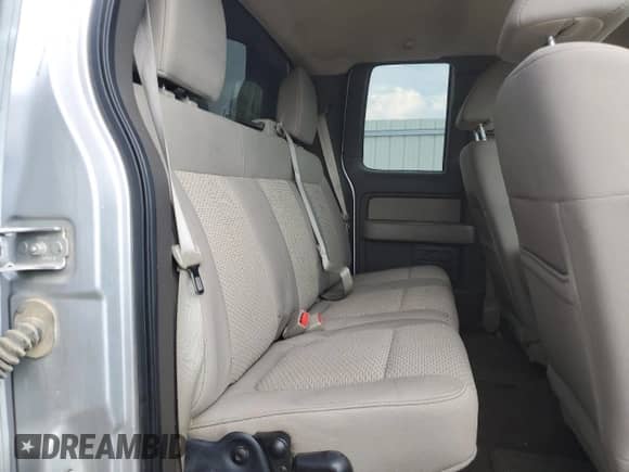 2010 Ford F-150 XL with VIN 1FTEX1C80AKE23689, listed as a Copart auction lot 80751565 with 249,418 mi miles and Salvage title. Bid and sale history available at DreamBid. Image 10.