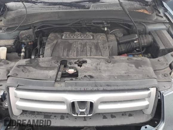 2006 Honda Pilot EX-L с VIN 5FNYF286X6B035287, выставлен на аукционе Copart как лот 67251905 с пробегом 218 945 миль миль и Списание • Salvage title. История ставок и продаж доступна на DreamBid. Изображение 12.