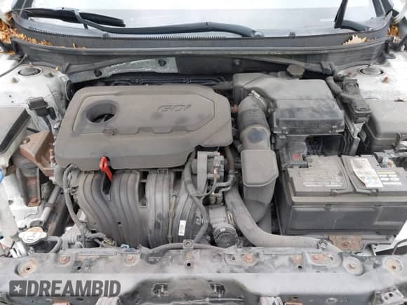 2016 Hyundai Sonata SE with VIN 5NPE24AF7GH276585, listed as a IAAI auction lot 43520281 with 92,770 mi miles and . Bid and sale history available at DreamBid. Image 10.