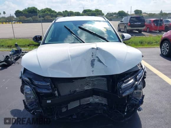 2025 Hyundai Tucson SEL with VIN 5NMJB3DE0SH524645, listed as a IAAI auction lot 43053225 with 4,074 mi miles and . Bid and sale history available at DreamBid. Image 13.