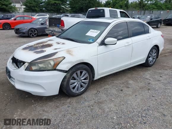 2011 Honda Accord EX-L with VIN 1HGCP2F8XBA086403, listed as a IAAI auction lot 43026592 with Not provided miles and . Bid and sale history available at DreamBid. Image 2.