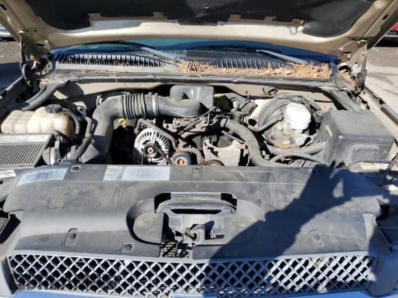 2005 Chevrolet Silverado 1500 with VIN 1GCEK14X05Z188406, listed as a Copart auction lot 46867875 with 202,282 mi miles and Clean title. Bid and sale history available at DreamBid. Image 11.