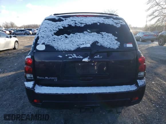 2009 Chevrolet TrailBlazer 1LT z VIN 1GNDT33S492118651, wystawiony jako Copart lot #85883584 z przebiegiem 101 346 mil mil oraz Szkoda całkowita • Salvage title. Historia ofert i sprzedaży dostępna na DreamBid. Obrazek 6.
