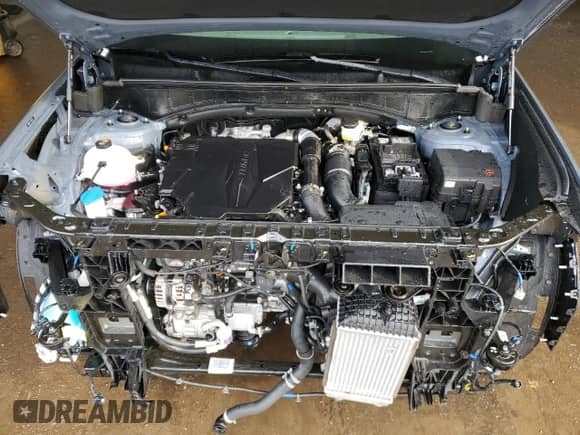 2025 Hyundai Santa Fe SEL с VIN 5NMP24GL5SH087171, выставлен на аукционе Copart как лот 43710845 с пробегом 2 897 миль миль и Чистый • Clean title. История ставок и продаж доступна на DreamBid. Изображение 12.