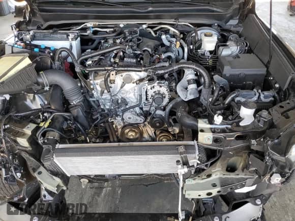 2024 Toyota Tacoma SR5 with VIN 3TMKB5FN9RM023449, listed as a Copart auction lot 67866095 with 5,550 mi miles and Salvage title. Bid and sale history available at DreamBid. Image 11.