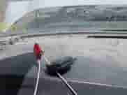 2016 Ford F-250 XL with VIN 1FT7W2AT3GEC44255, listed as a IAAI auction lot 42484962 with 208,366 mi miles and . Bid and sale history available at DreamBid. Image 11.