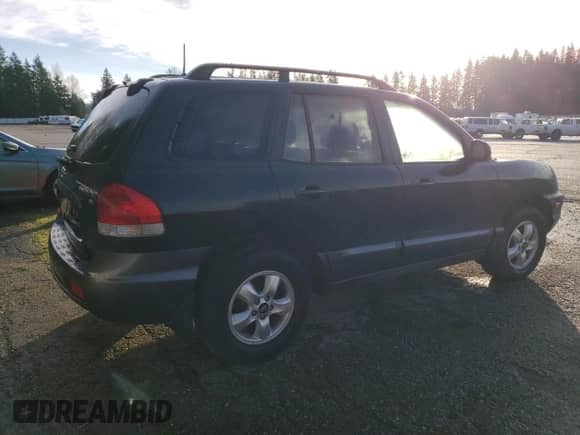 2006 Hyundai Santa Fe GLS with VIN KM8SC13DX6U112533, listed as a Copart auction lot 87078764 with Not provided miles and Salvage title. Bid and sale history available at DreamBid. Image 3.