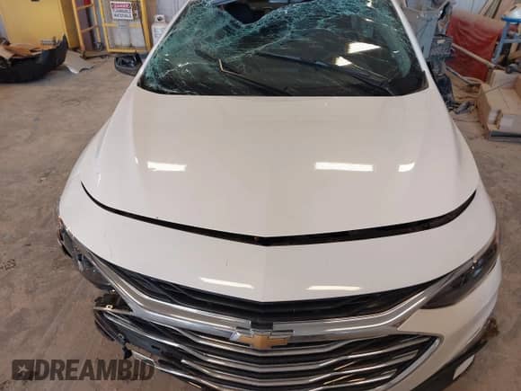 2023 Chevrolet Malibu LS с VIN 1G1ZB5ST6PF216280, выставлен на аукционе IAAI как лот 43163965 с пробегом 26 381 миль миль и . История ставок и продаж доступна на DreamBid. Изображение 12.