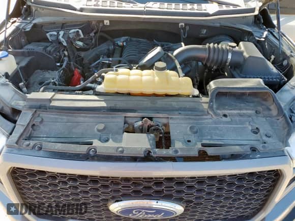 2019 Ford F-150 XL with VIN 1FTEW1C59KKE76210, listed as a Copart auction lot 80849425 with Not provided miles and Salvage title. Bid and sale history available at DreamBid. Image 11.