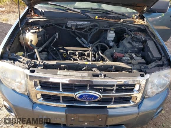 2011 Ford Escape XLT with VIN 1FMCU9D70BKC09156, listed as a IAAI auction lot 43498946 with 517,315 mi miles and . Bid and sale history available at DreamBid. Image 10.