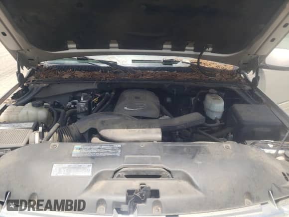 2006 Chevrolet Tahoe LS with VIN 1GNEC13Z86J121706, listed as a Copart auction lot 60292004 with 266,672 mi miles and Clean title. Bid and sale history available at DreamBid. Image 12.