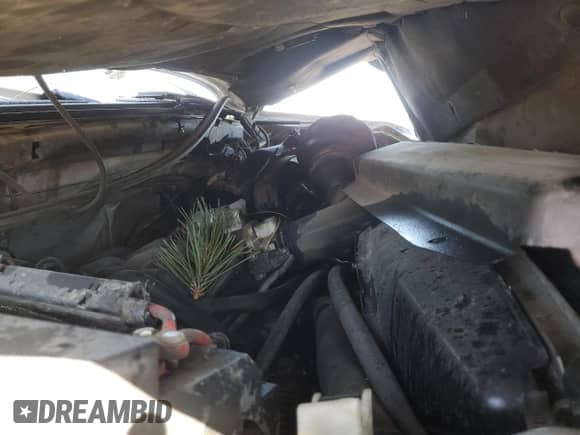 2001 Ford F-150 XL с VIN 1FTZX17251NC04314, выставлен на аукционе Copart как лот 86109475 с пробегом Не указан миль и Списание • Salvage title. История ставок и продаж доступна на DreamBid. Изображение 11.