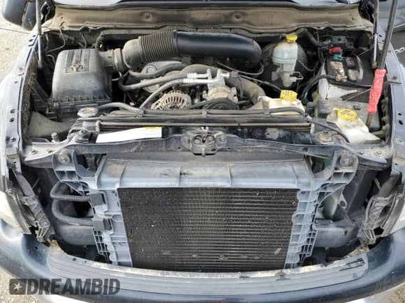 2003 Dodge RAM with VIN 3D7KU28W43G861804, listed as a Copart auction lot 87087264 with 105,107 mi miles and Salvage title. Bid and sale history available at DreamBid. Image 11.