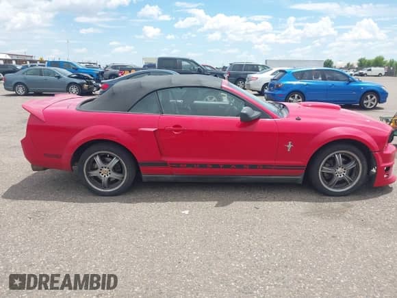 2006 Ford Mustang Standard с VIN 1ZVFT84N865241237, выставлен на аукционе IAAI как лот 42682629 с пробегом 218 861 миль миль и . История ставок и продаж доступна на DreamBid. Изображение 13.
