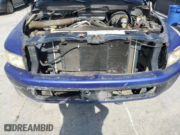 1998 Dodge 1500 z VIN 1B7HF13Z6WJ191072, wystawiony jako Copart lot #61568405 z przebiegiem 199 634 mil mil oraz Szkoda całkowita • Salvage title. Historia ofert i sprzedaży dostępna na DreamBid. Obrazek 11.