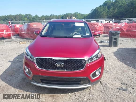 2017 Kia Sorento EX с VIN 5XYPH4A56HG282823, выставлен на аукционе IAAI как лот 42688908 с пробегом 86 000 миль миль и . История ставок и продаж доступна на DreamBid. Изображение 13.
