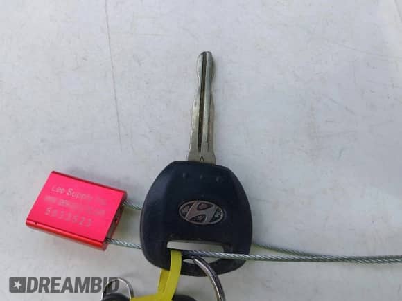 2007 Hyundai Entourage GLS с VIN KNDMC233976027957, выставлен на аукционе IAAI как лот 41560350 с пробегом 188 483 миль миль и . История ставок и продаж доступна на DreamBid. Изображение 11.