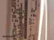 2012 Ford Econoline Cargo Recreational z VIN 1FTNE2EW2CDB21285, wystawiony jako Copart lot #84023555 z przebiegiem 211 598 mil mil oraz Szkoda całkowita • Salvage title. Historia ofert i sprzedaży dostępna na DreamBid. Obrazek 13.