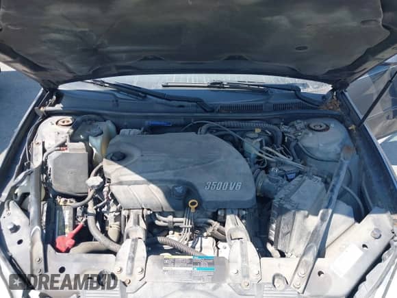 2008 Chevrolet Impala LT z VIN 2G1WT58K981360719, wystawiony jako IAAI lot #43144269 z przebiegiem 110 440 mil mil oraz . Historia ofert i sprzedaży dostępna na DreamBid. Obrazek 10.
