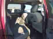 2017 Ram 1500 Big Horn z VIN 1C6RR6LT7HS657939, wystawiony jako IAAI lot #41235870 z przebiegiem 129 016 mil mil oraz . Historia ofert i sprzedaży dostępna na DreamBid. Obrazek 8.