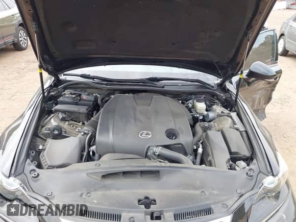 2015 Lexus IS 250 with VIN JTHBF1D23F5068909, listed as a IAAI auction lot 43087531 with 89,929 mi miles and . Bid and sale history available at DreamBid. Image 10.