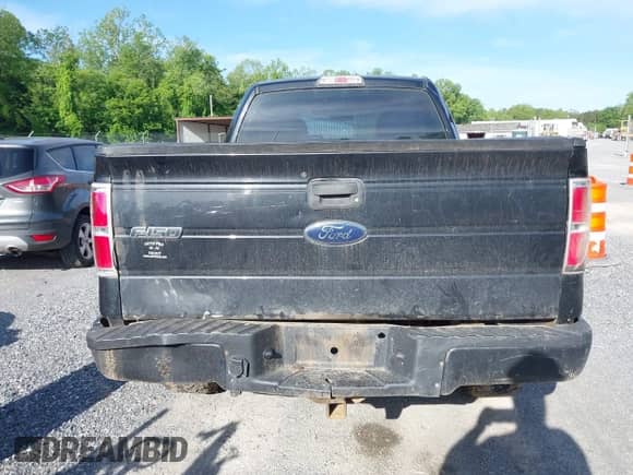 2010 Ford F-150 XL z VIN 1FTEX1EW2AFA18163, wystawiony jako IAAI lot #42295077 z przebiegiem 217 430 mil mil oraz . Historia ofert i sprzedaży dostępna na DreamBid. Obrazek 16.