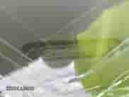 2004 Hyundai Elantra GLS with VIN KMHDN46D94U798156, listed as a IAAI auction lot 42771128 with 32,677 mi miles and . Bid and sale history available at DreamBid. Image 9.