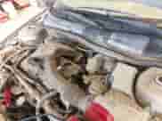 2001 Chevrolet Cavalier с VIN 1G1JC524017104935, выставлен на аукционе IAAI как лот 42345588 с пробегом 268 364 миль миль и . История ставок и продаж доступна на DreamBid. Изображение 6.