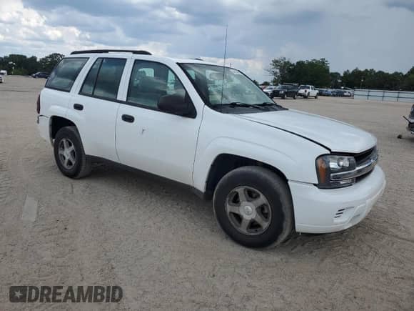 2006 Chevrolet TrailBlazer LS with VIN 1GNDT13S562156244, listed as a Copart auction lot 64828065 with 165,991 mi miles and Salvage title. Bid and sale history available at DreamBid. Image 4.