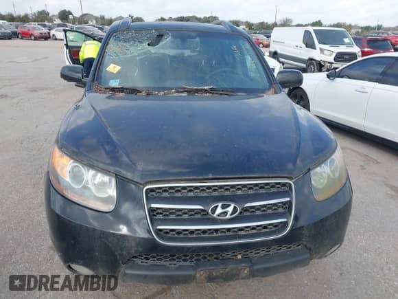 2008 Hyundai Santa Fe SE с VIN 5NMSH13E48H139395, выставлен на аукционе IAAI как лот 43510919 с пробегом Не указан миль и . История ставок и продаж доступна на DreamBid. Изображение 10.