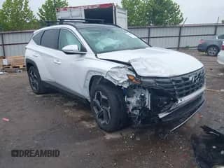 2024 Hyundai Tucson Limited с VIN KM8JECD19RU180963, выставлен на аукционе IAAI как лот 43066075 с пробегом 10 071 миль миль и . История ставок и продаж доступна на DreamBid. Изображение 1.
