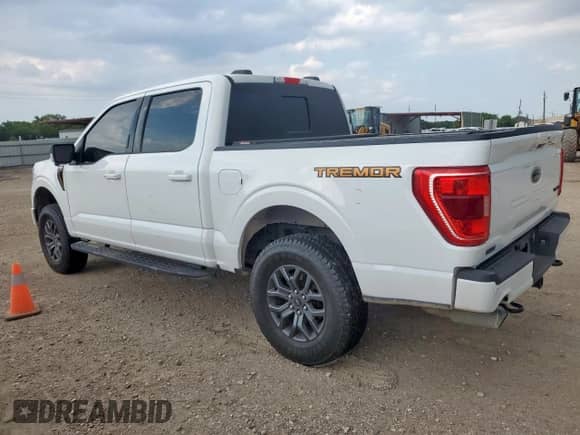 2023 Ford F-150 XL with VIN 1FTEW1E83PFB44870, listed as a Copart auction lot 67404595 with 69,006 mi miles and Salvage title. Bid and sale history available at DreamBid. Image 2.