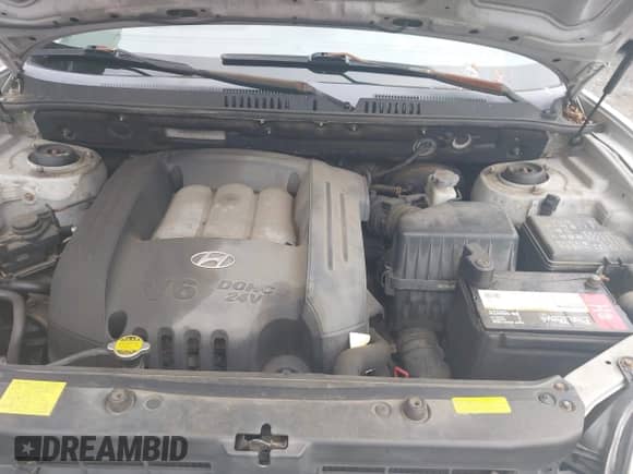 2005 Hyundai Santa Fe GLS with VIN KM8SC13D45U931973, listed as a IAAI auction lot 43274730 with 184,516 mi miles and . Bid and sale history available at DreamBid. Image 10.