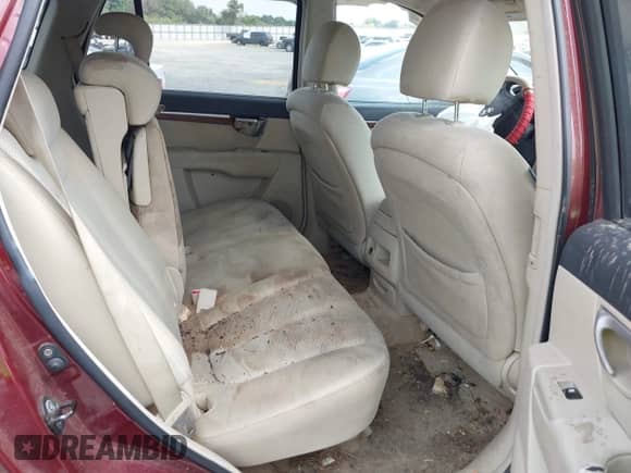 2007 Hyundai Santa Fe GLS with VIN 5NMSG13D17H058007, listed as a IAAI auction lot 43218830 with 275,035 mi miles and . Bid and sale history available at DreamBid. Image 8.