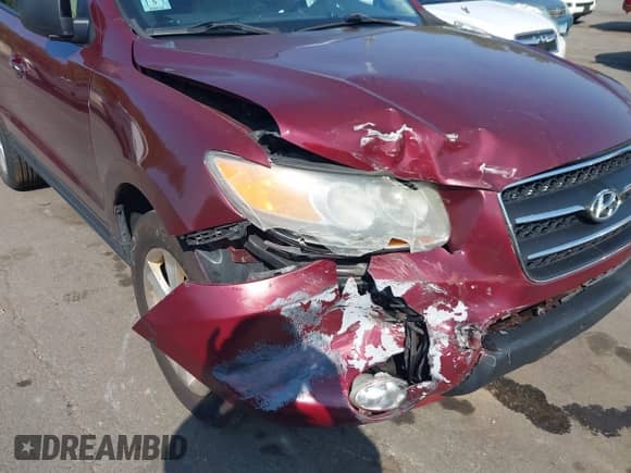 2007 Hyundai Santa Fe SE with VIN 5NMSH73E37H116451, listed as a IAAI auction lot 42967953 with 168,227 mi miles and . Bid and sale history available at DreamBid. Image 6.