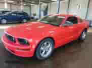2006 Ford Mustang GT Deluxe с VIN 1ZVFT82H765120194, выставлен на аукционе Copart как лот 69232235 с пробегом 89 604 миль миль и Чистый • Clean title. История ставок и продаж доступна на DreamBid. Изображение 1.