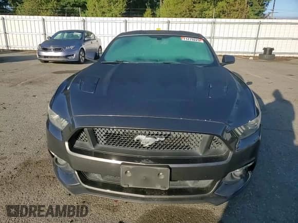2016 Ford Mustang GT Premium с VIN 1FA6P8CF9G5202861, выставлен на аукционе Copart как лот 71279225 с пробегом 87 412 миль миль и Списание • Salvage title. История ставок и продаж доступна на DreamBid. Изображение 13.